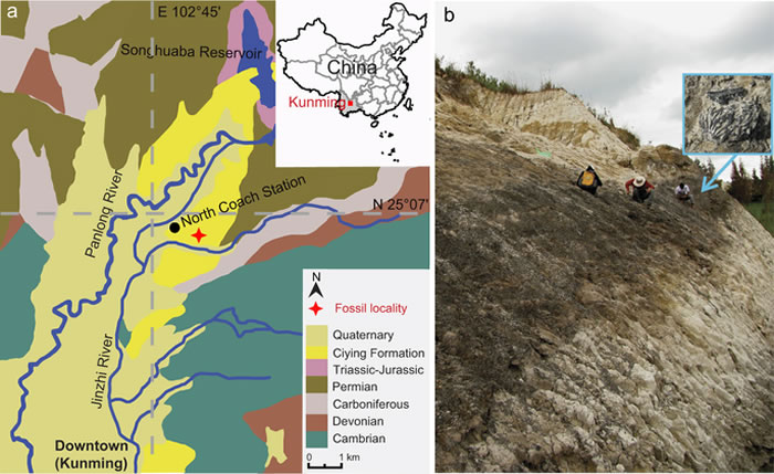 ����������������Լ��260����������������Һ˻�ʯ����������