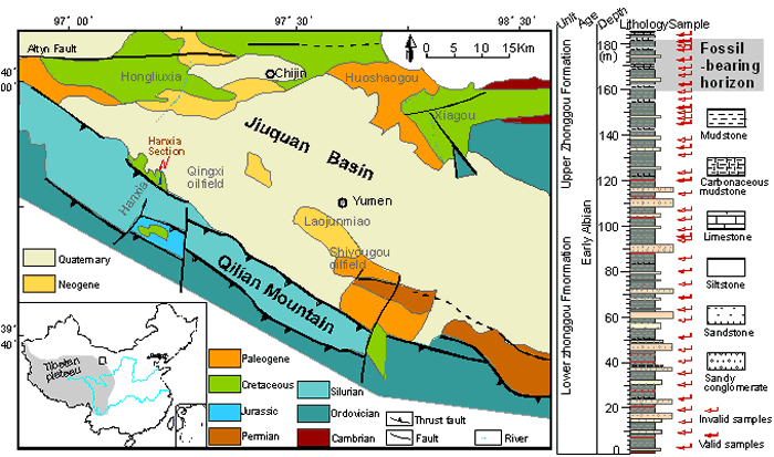 ��Ȫ����������ʼ�ͼ����Ͽ�����й���������״ͼ