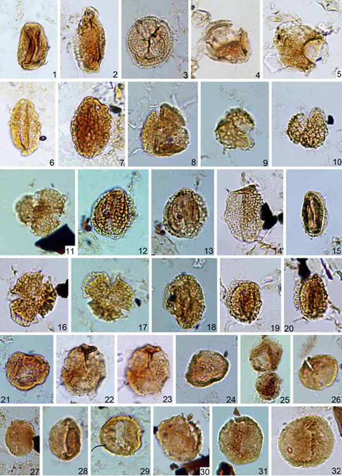 ��Ȫ����й������ڱ���ֲ�ﻨ�ۻ�ʯ