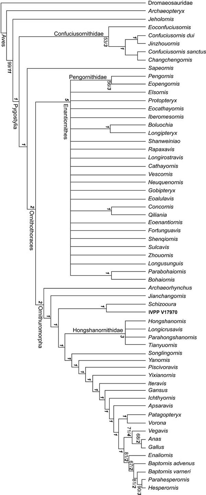 ������������ϵͼ��������ͼ��