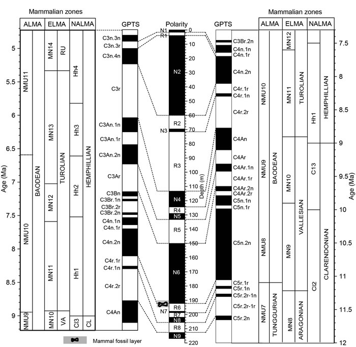 ��������ϼ��嶯��Ⱥ���̺������󣩵Ĵ��Եز������������ʲ��鶯������ĶԱ�