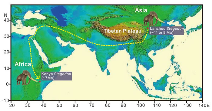 �������Ǩ��·��