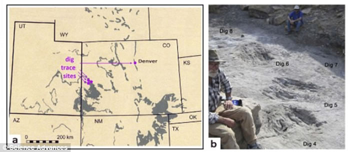 �����о����ֿ������á�ʷǰ����ǰϷ��������ǰ��צ���ڵ������ڡ�������