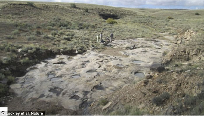 �����о����ֿ������á�ʷǰ����ǰϷ��������ǰ��צ���ڵ������ڡ�������