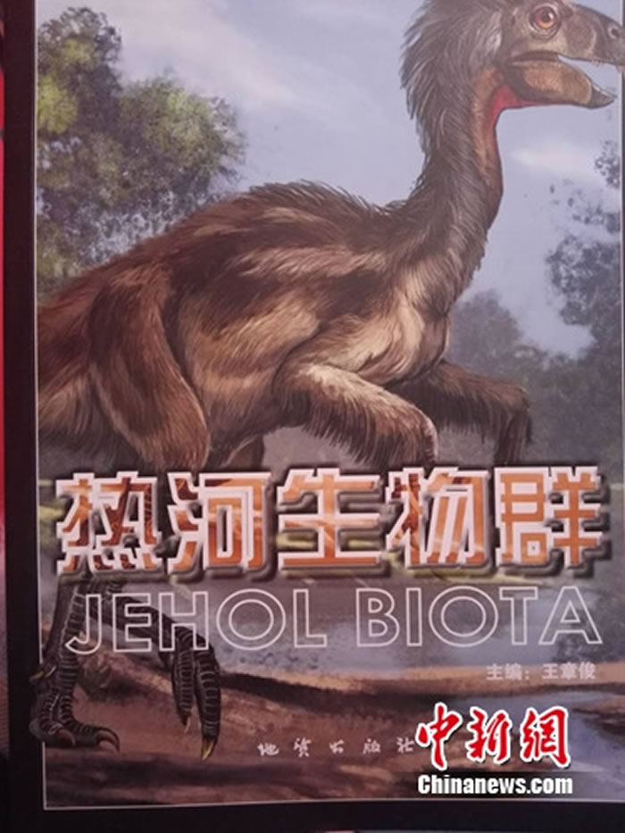 ���ջ��ᡶ�Ⱥ�����Ⱥ��