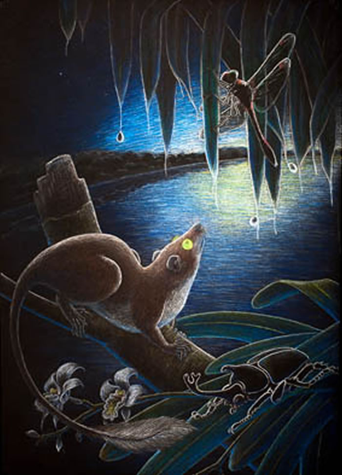 ����������ԭͼ����ϲ����ͼ��