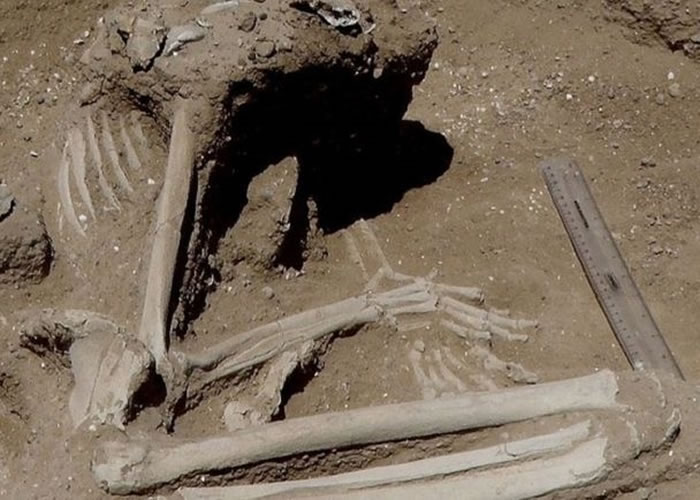 考古学家发现距今至少有一万年历史的现代人骸骨
