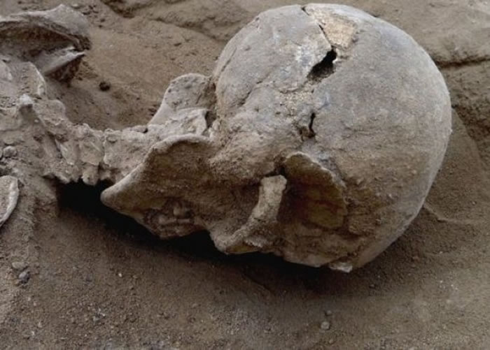 ����ʬ����ͷ���ѿ�