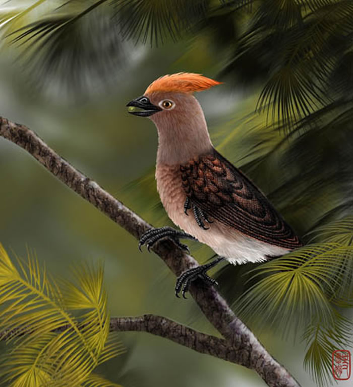 ֣�����������ԭͼ��ʷ�����ͼ��