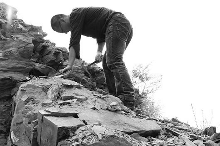 ����ʯ���ˡ����ڽ���Ұ��ɼ�