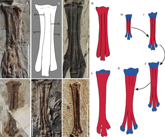 ԭʼ���������������ە������ʾ��ͼ��������ͼ��