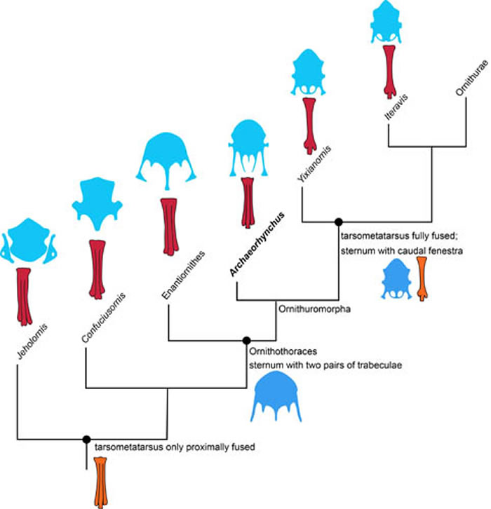 �عǺ���ە����̬��ԭʼ������ݻ���������ͼ��