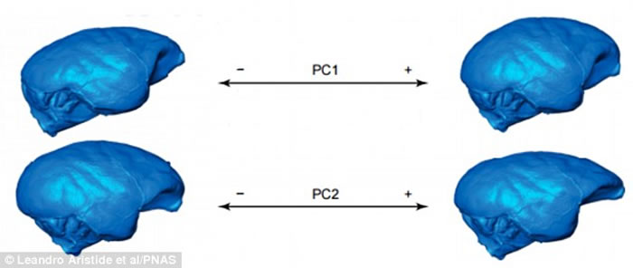 �´�½�������״�Ľ���