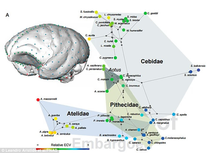 �´�½�������״�Ľ���