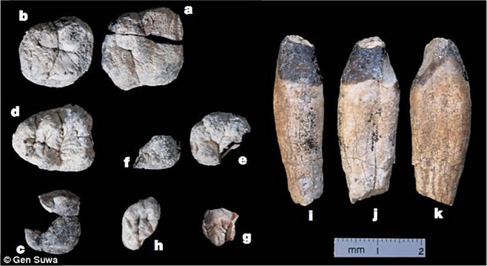 �������������Գ�Ľ����������ٳ�����1000����ǰ