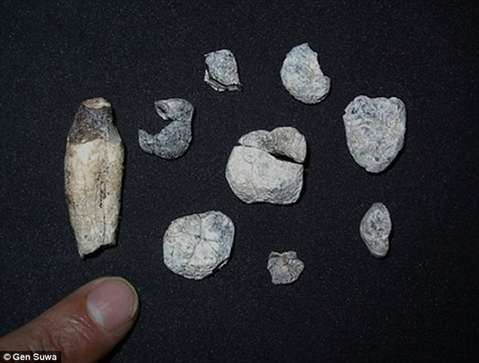 ����ʹ�����1000����ǰ�ڷ��޴�½�ӹ�ͬ���ȿ�ʼ�ֻ�