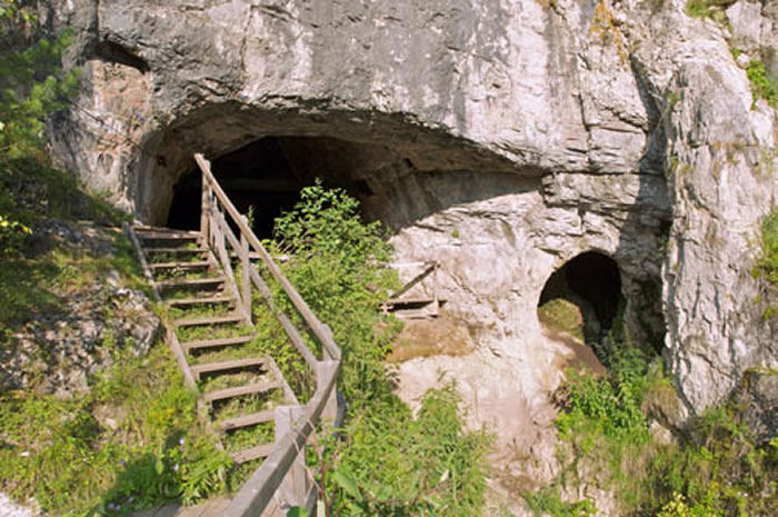 丹尼索瓦洞穴入口 (Bence Viola供图)