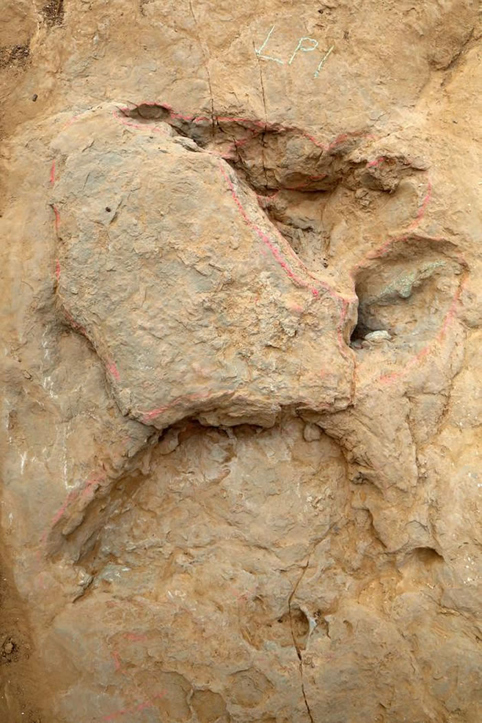 盐锅峡只有后足趾痕的足迹其实是由恐龙在地面行走中所留,而非传统认为的是游泳的产物。