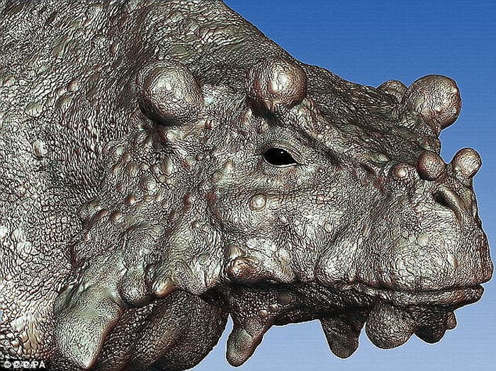 ������2.6����ǰ�ľ޼�������Ϊ����ʷ�����ª�Ķ�������峤2-3�ף����Ŵ̵ֶ�֫�壬Ͱ״���壬Ƥ���ϸ������������ṹ��