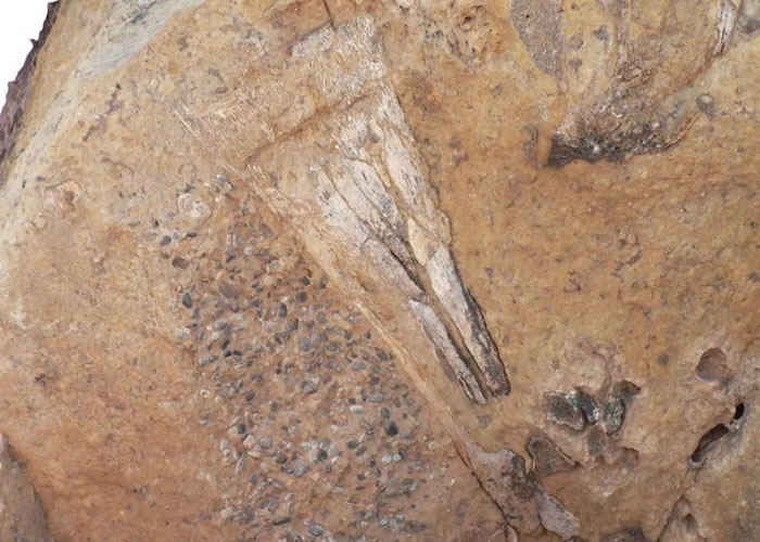 ������ʿ�����ֵ������������������Ȼ�ʯ