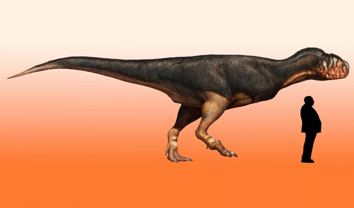 ƷʳΪͼΪģͼImage credit: Davide Bonadonna / Imperial College London.