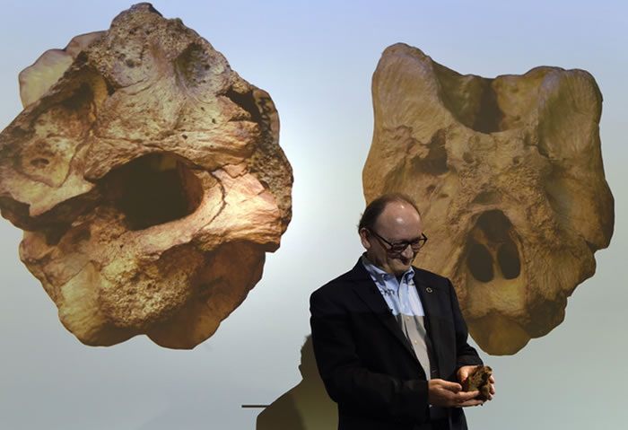 ���ȱ��˹̹����9000����ǰ������������Timurlengia euotica