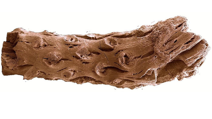 ���ô��ʯ�����־��1.4����ǰ��������ʯ