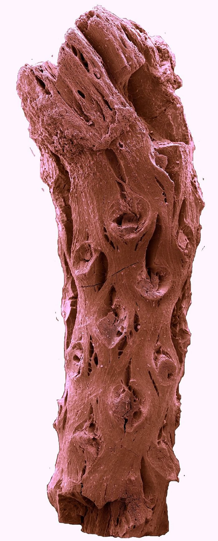 ���ô��ʯ�����־��1.4����ǰ��������ʯ