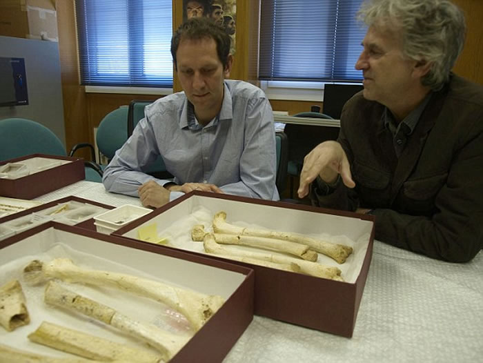 ����һ���о��������ù�����ʯ��ĸϵ�����Ŵ���������DNA�ǳ��ӽ�����һ֧�����������ȡ�������������