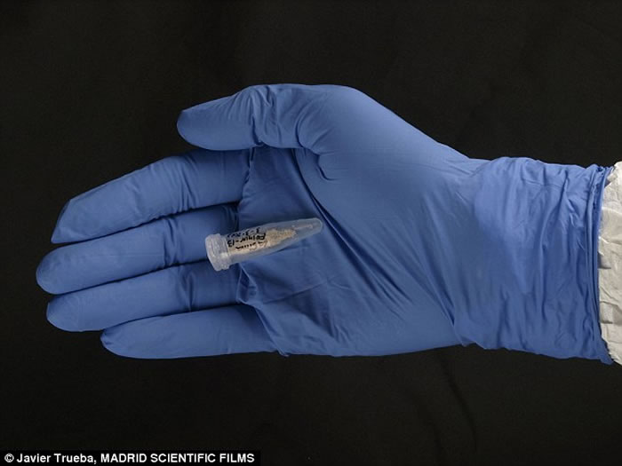 ��ѧ�Ҷ�43-30����ǰ�����Ѩ���˹����걾DNA���в���