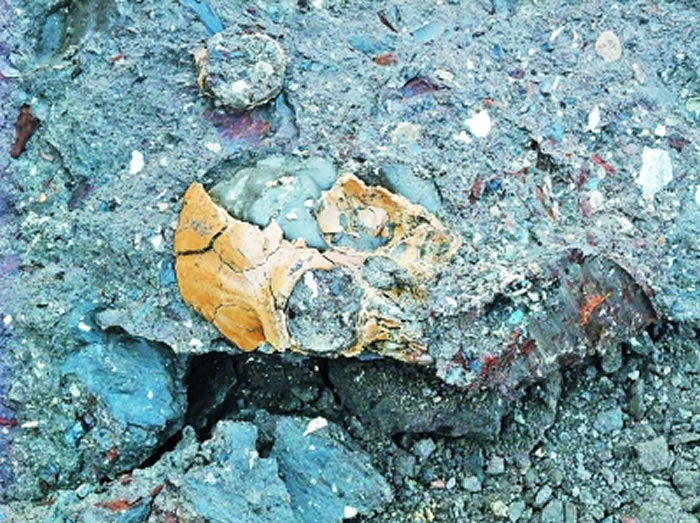 ��ͨ��Գͷ�ǳ���״̬