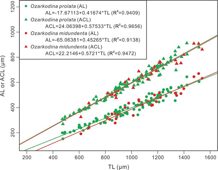 Ozarkodina prolataOzarkodina midundentaǰƬȣALǰƬǻܳACLԳƬܳTLɢͼ