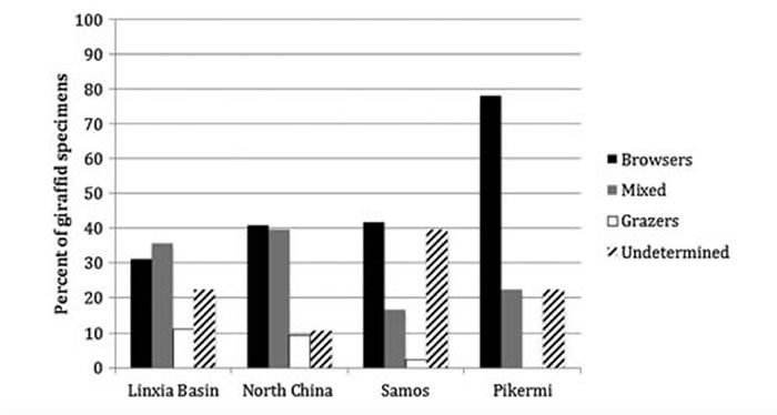 ��ʯ����¹ʳ�����ͷֲ�ͼ�����ؿ���ͼ��