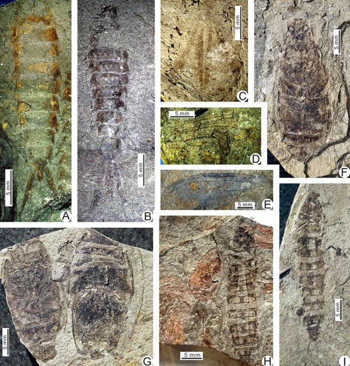 ���ڲ�������������������϶��в������滯ʯ