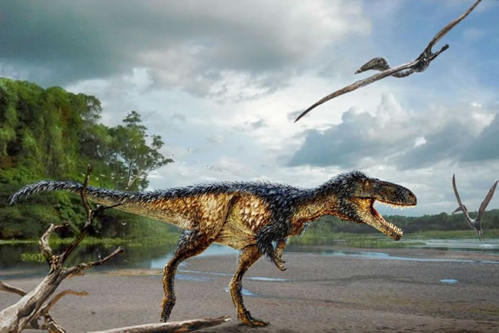 ���ȱ�˱���ɳĮ�������ڱ������ȵ���Ʒ�ֿ�����ʯ