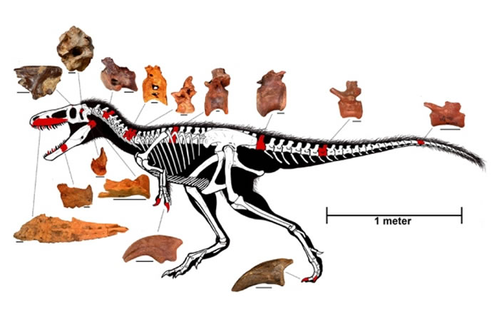 ���ȱ�˱���ɳĮ�������ڱ������ȵ���Ʒ�ֿ�����ʯ