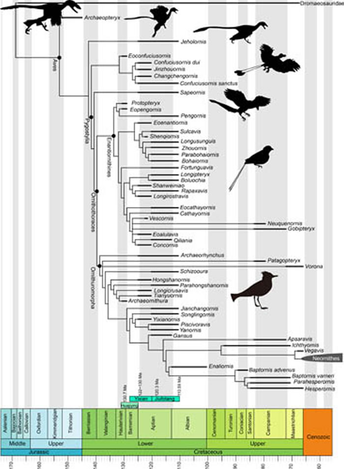 ͼ1. ������������ϵ���Լ���Ҫ֧ϵ����Դ�ͷ���ʱ�䣨������ͼ��