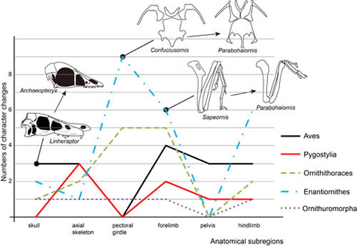 ͼ3. ԭʼ�������������ѧ�������ݻ����ʱȽϣ�������ͼ��