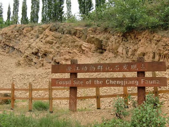 �ν���ʯ��