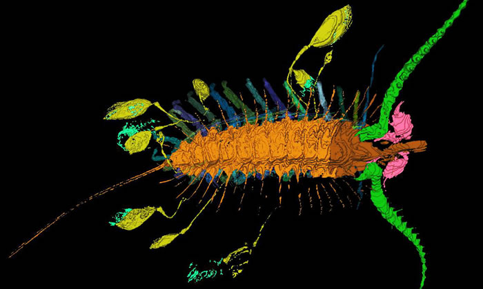 4.3����ǰ��֫����Ѻ��ӡ��������ߣ�ʹ���ǲ����ױ���ʳ������