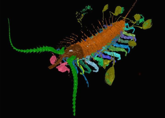 4.3����ǰ��֫����Ѻ��ӡ��������ߣ�ʹ���ǲ����ױ���ʳ������