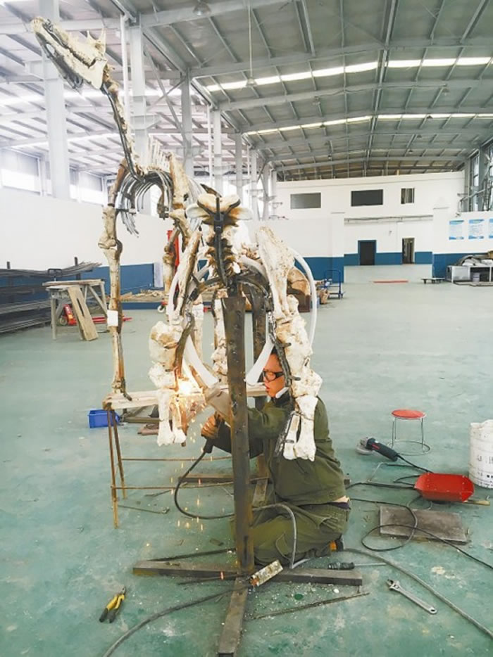 ����װ�ܵĴ�Ϭ��ʯ�걾