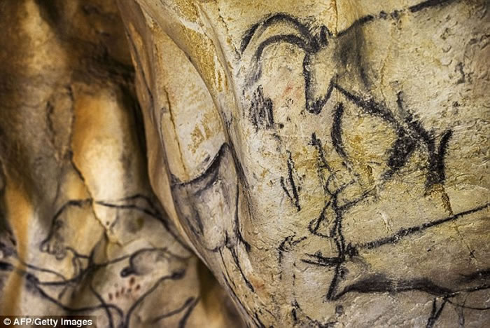 能力出现的年代要早于预期 - 中国化石网