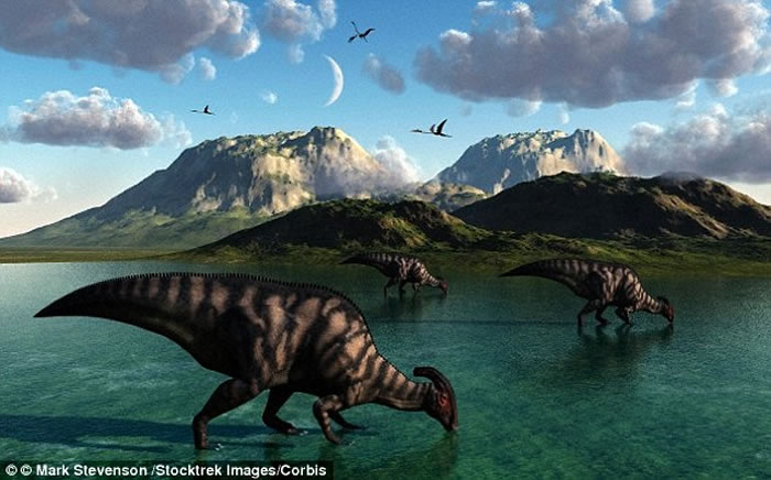 ��С����ײ���������ģ���ǰ �����ѳ����𽥵����ɸı��˥��