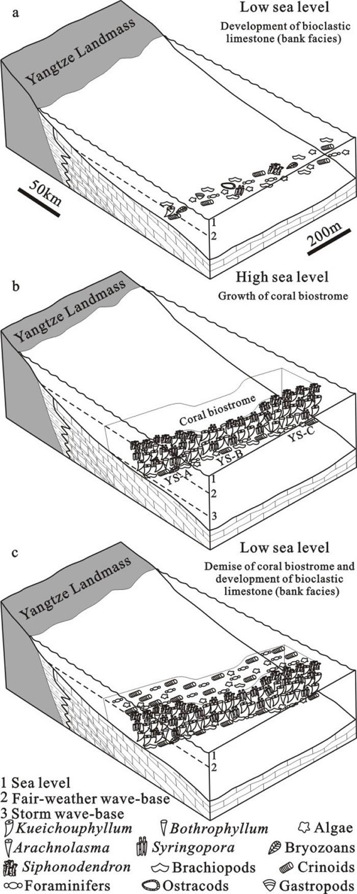 海平面变化控制珊瑚层生长和死亡模式图