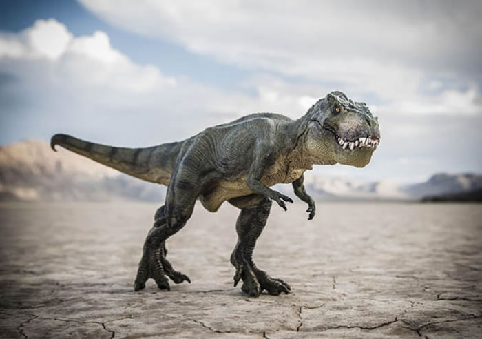 �����о�������С������ײ֮ǰ�����������½�����5000����ʱ��