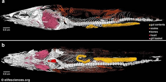 ������ѧ���ڰ���1����ǰ�������з����������໯ʯ����