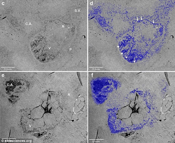 ������ѧ���ڰ���1����ǰ�������з����������໯ʯ����