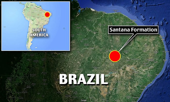 ������ѧ���ڰ���1����ǰ�������з����������໯ʯ����