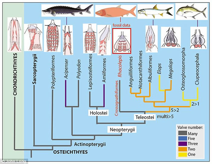 ������ѧ���ڰ���1����ǰ�������з����������໯ʯ����